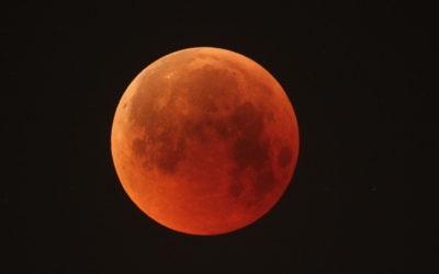 The Rarity of the January 2020 Lunar Eclipse